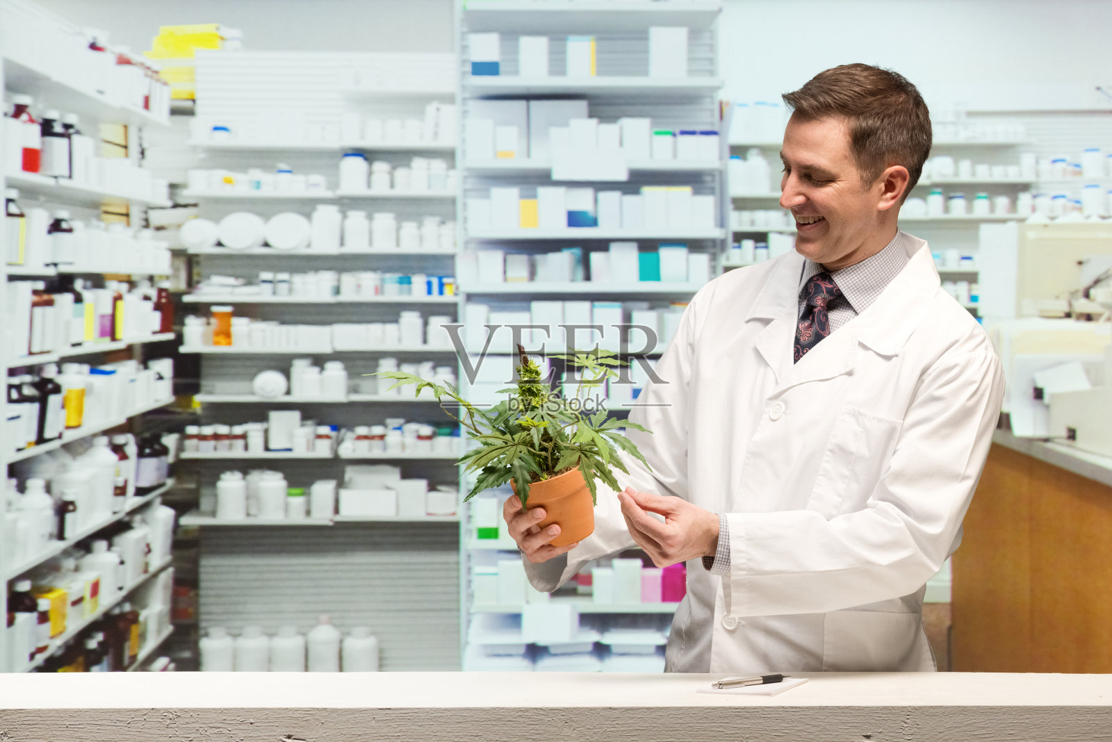 微笑的医生拿着大麻植物照片摄影图片