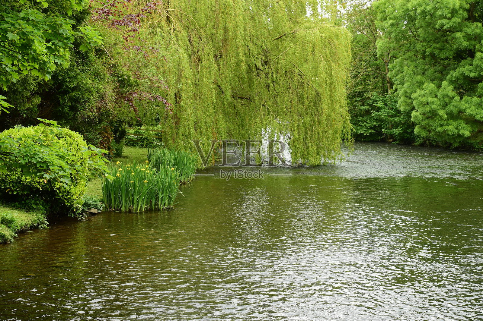 峰区国家公园照片摄影图片