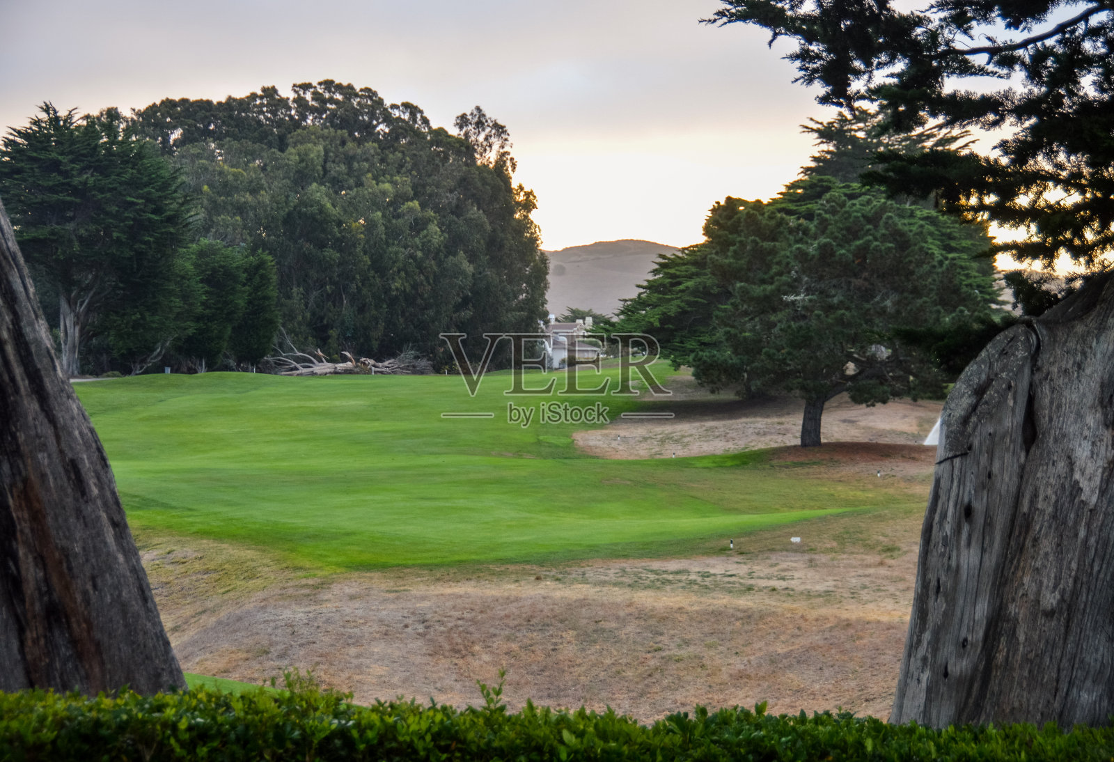 清晨的高尔夫球场照片摄影图片