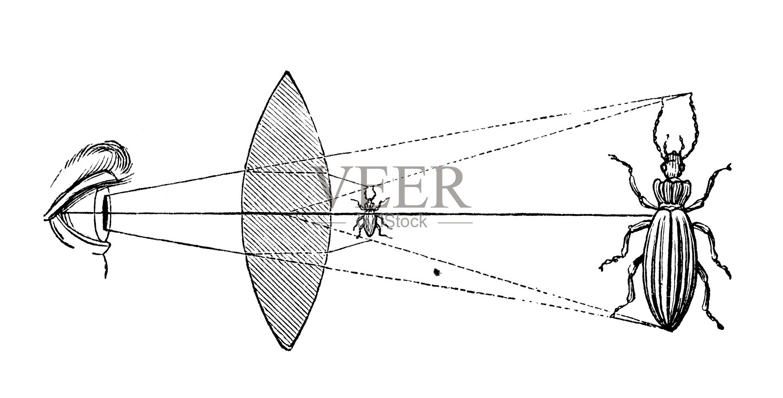 古色古香的镜头插画设计元素图片