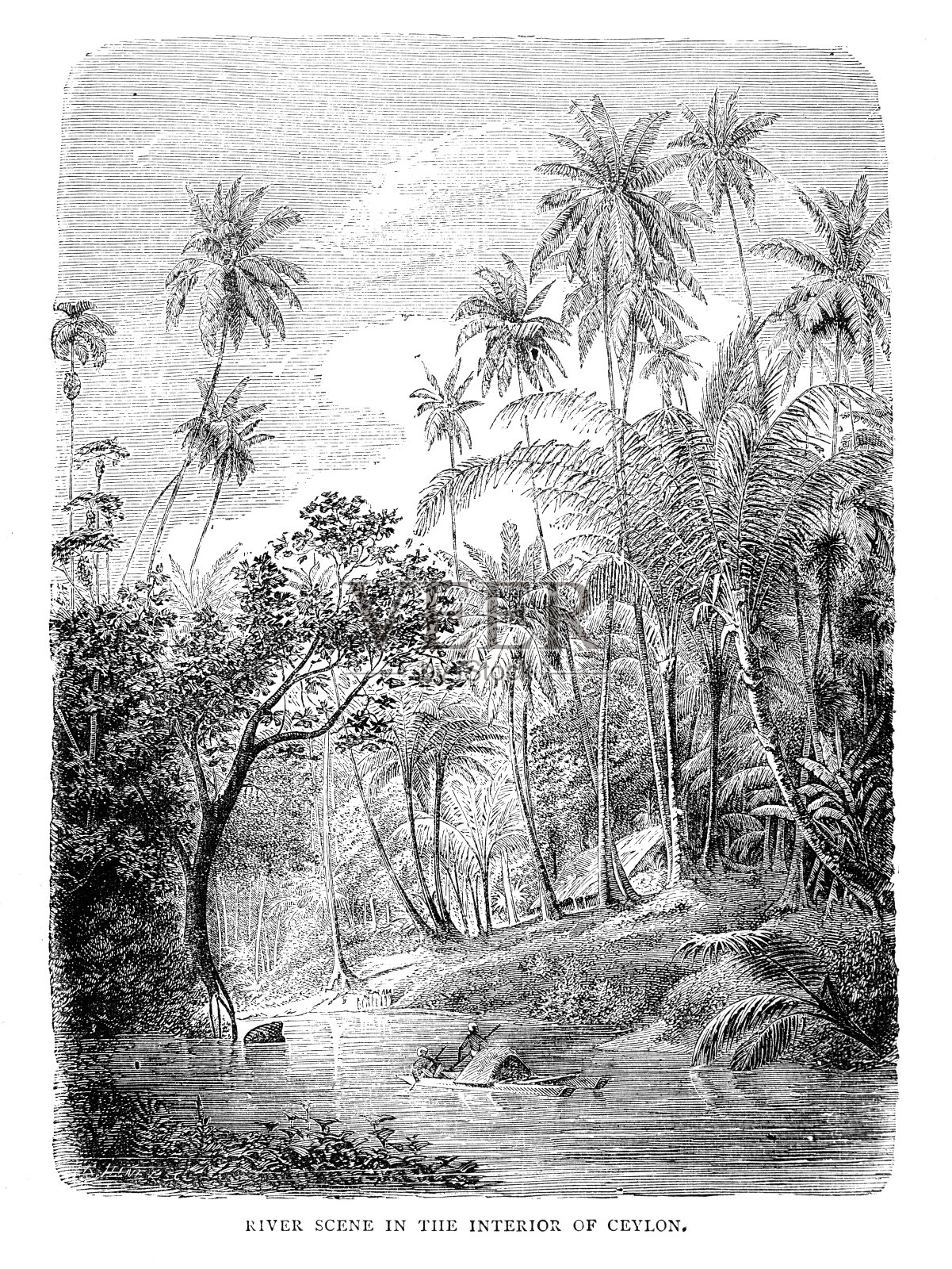 锡兰河的场景插画图片素材