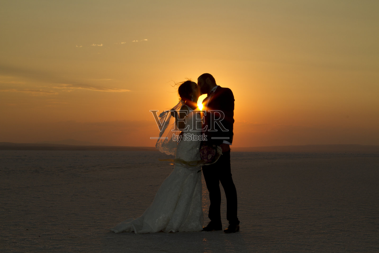 新娘和新郎在雪地上接吻照片摄影图片