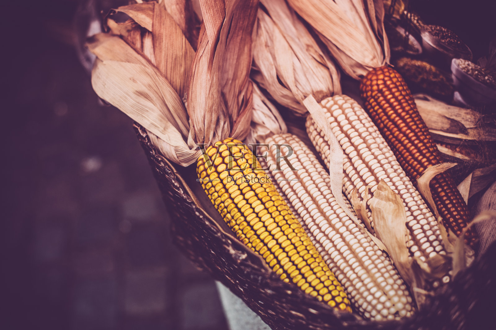 彩色玉米棒照片摄影图片