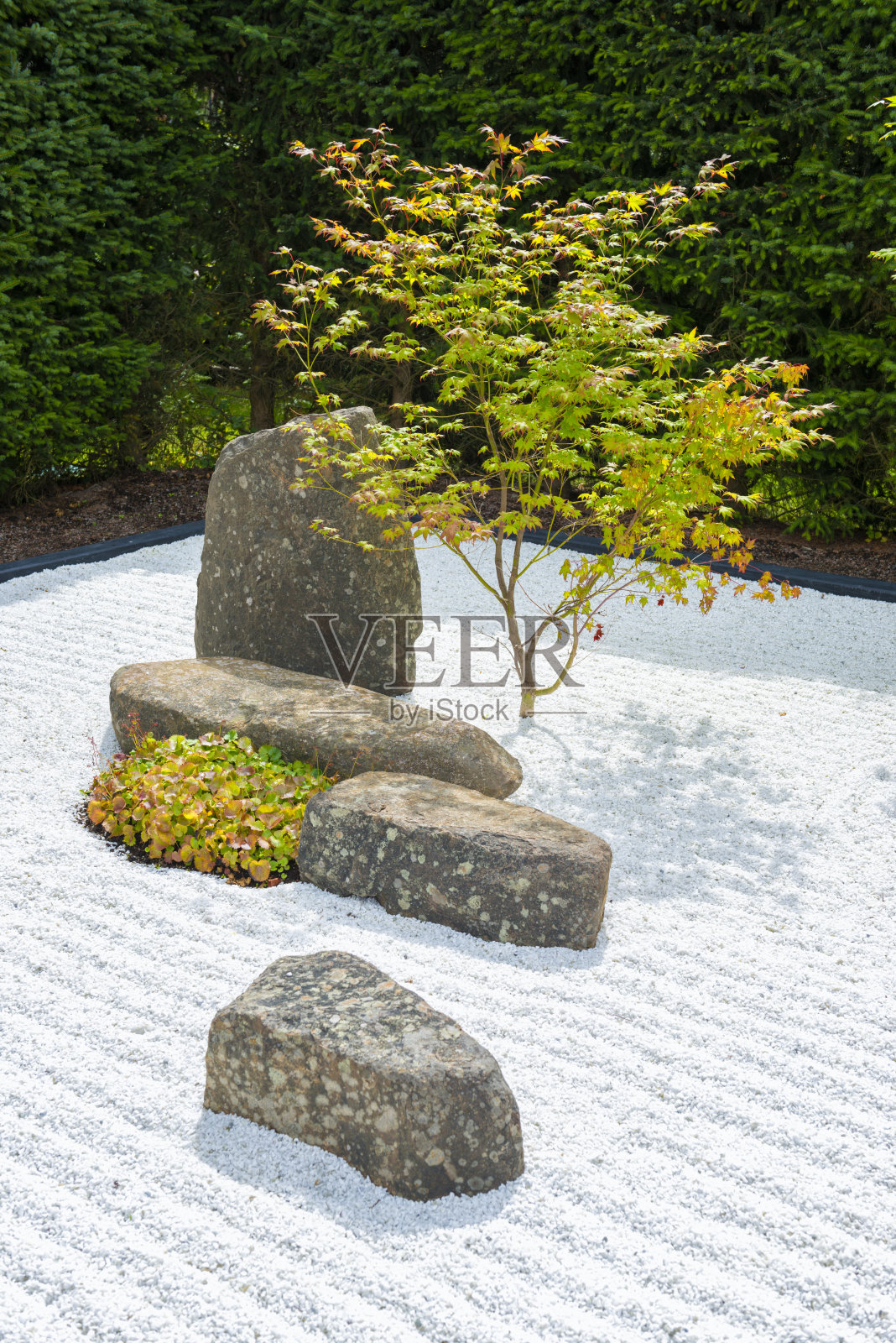 日式花园照片摄影图片