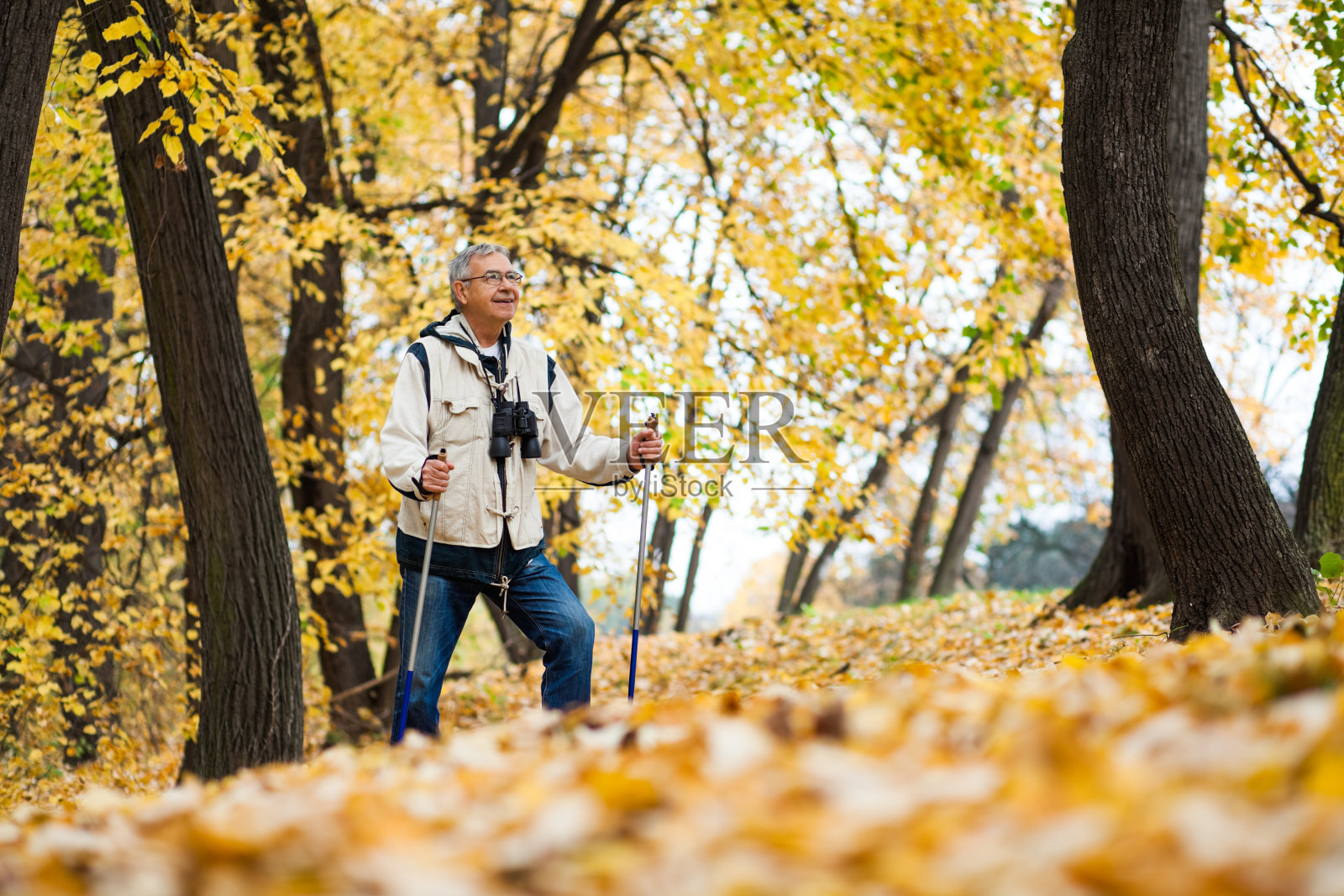 探索自然的老人照片摄影图片
