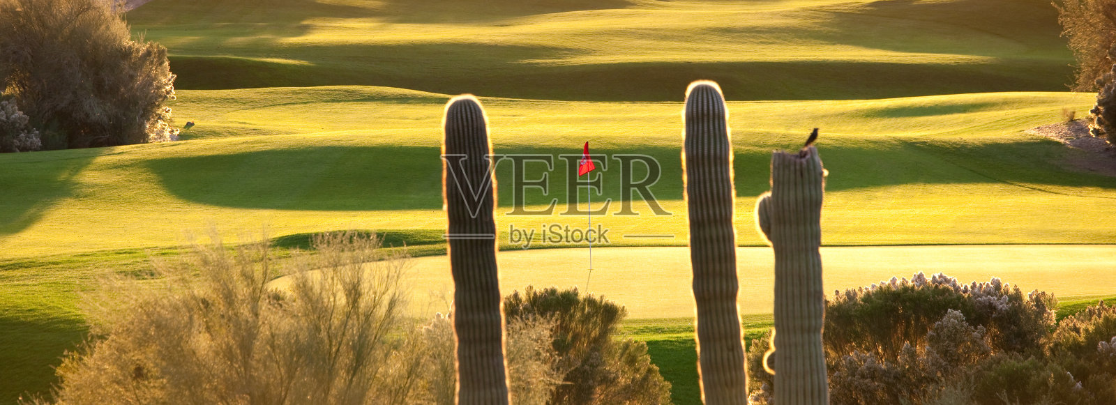 沙漠高尔夫球场全景图照片摄影图片