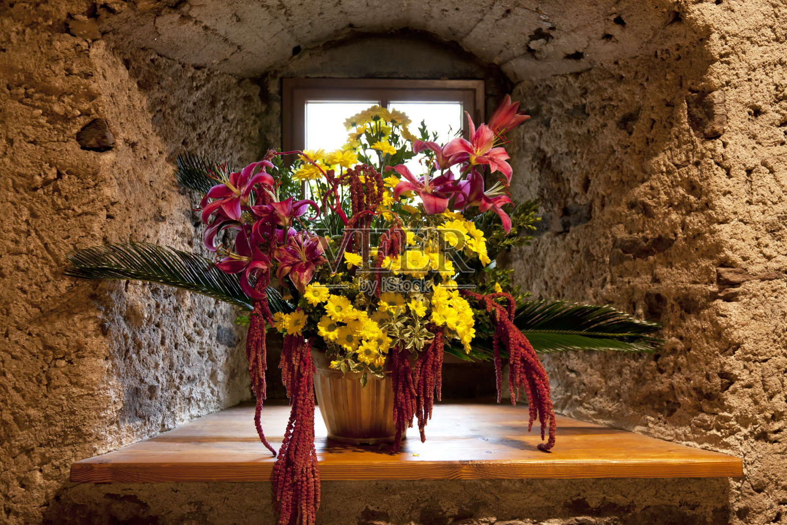 静物画花照片摄影图片