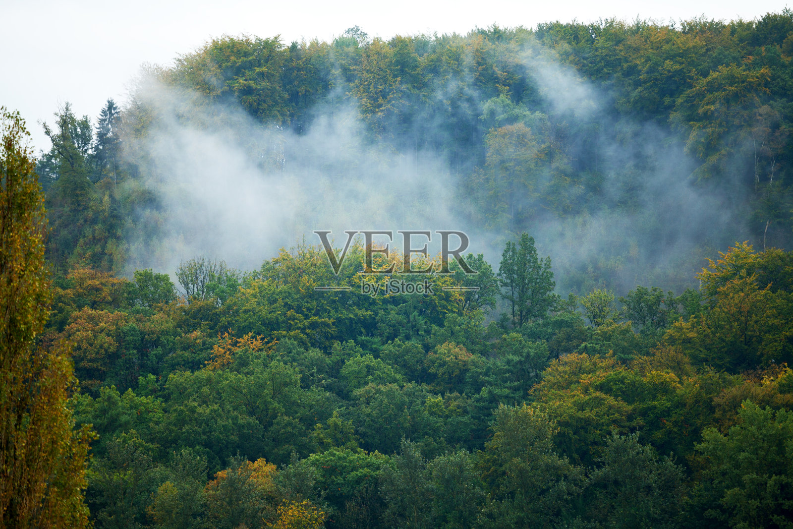 不断上升的雾照片摄影图片