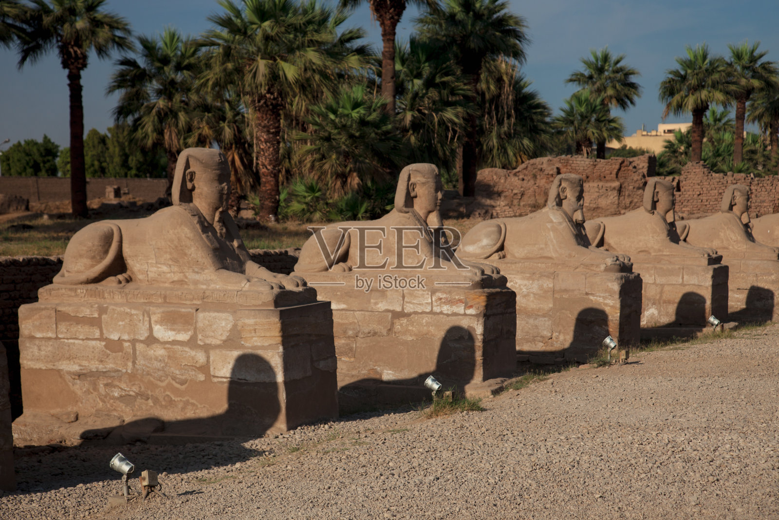 狮身人面像大道照片摄影图片