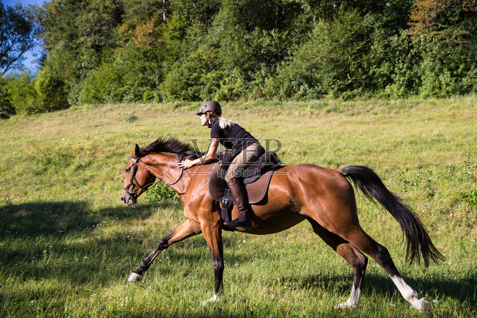 在户外骑马的女人照片摄影图片