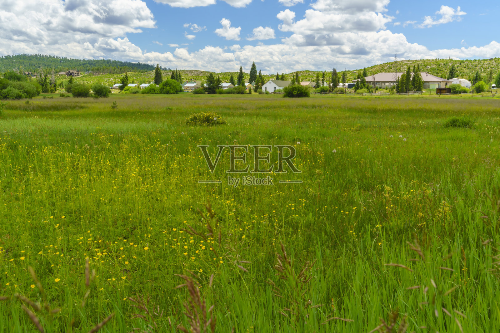 影山湖前的草地照片摄影图片