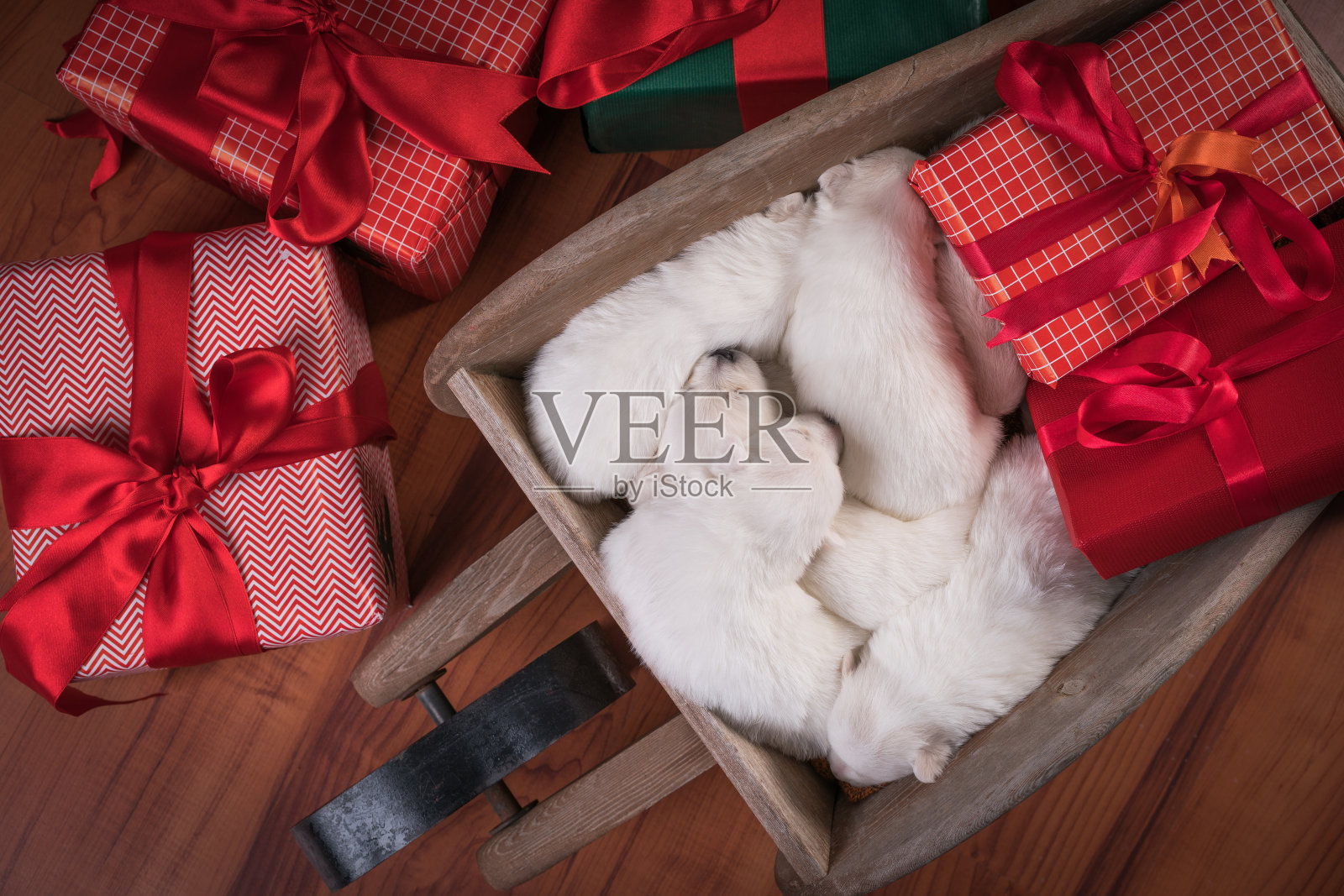 小狗狗和圣诞礼物照片摄影图片