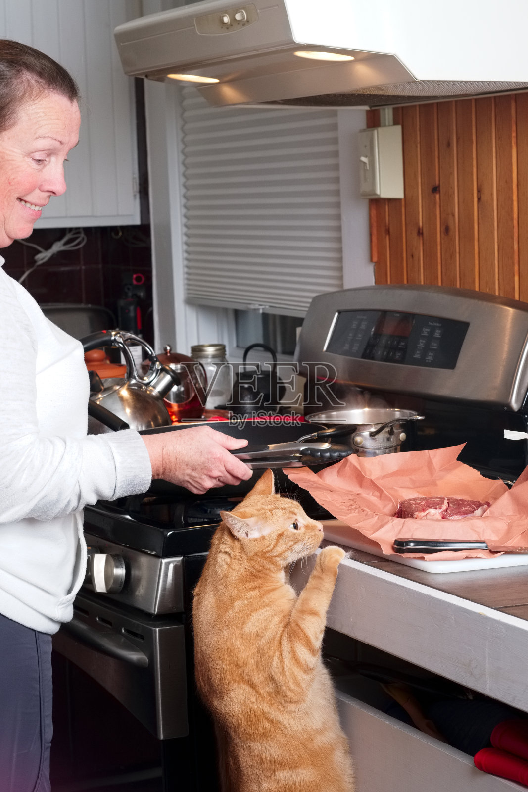 姜猫爬上柜台试图偷食物。照片摄影图片