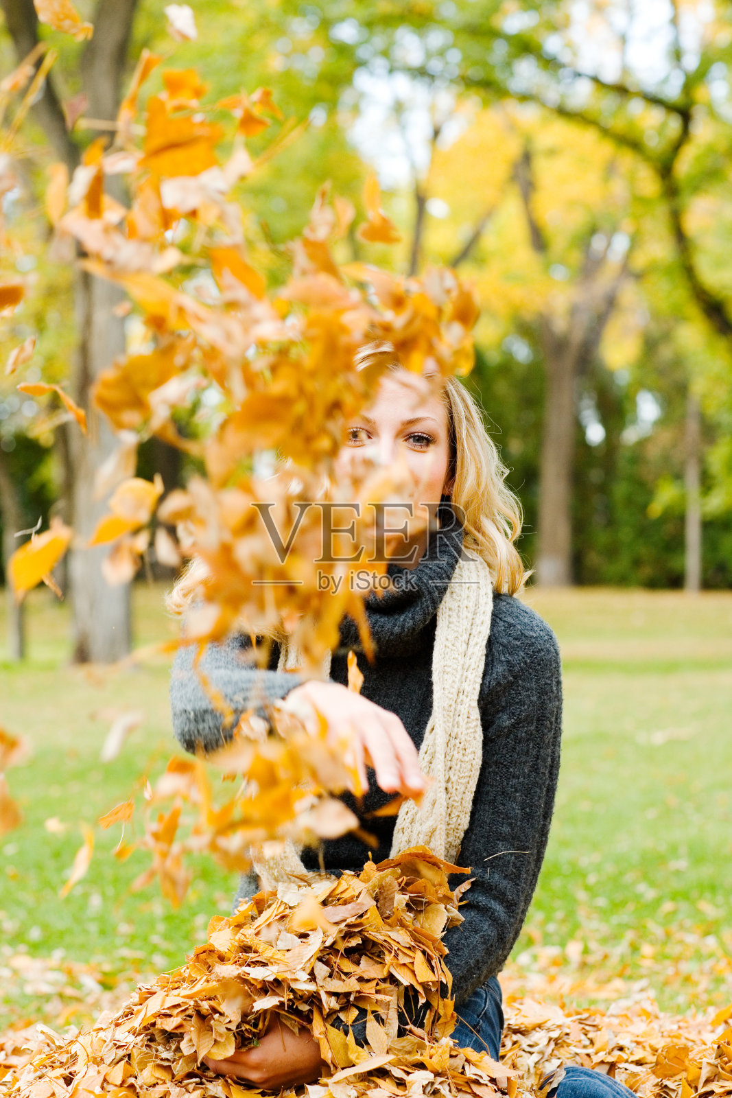 把叶子照片摄影图片