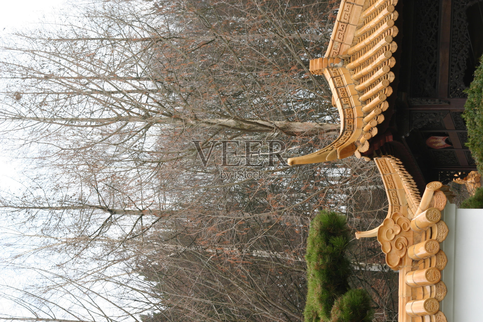 东方屋顶照片摄影图片