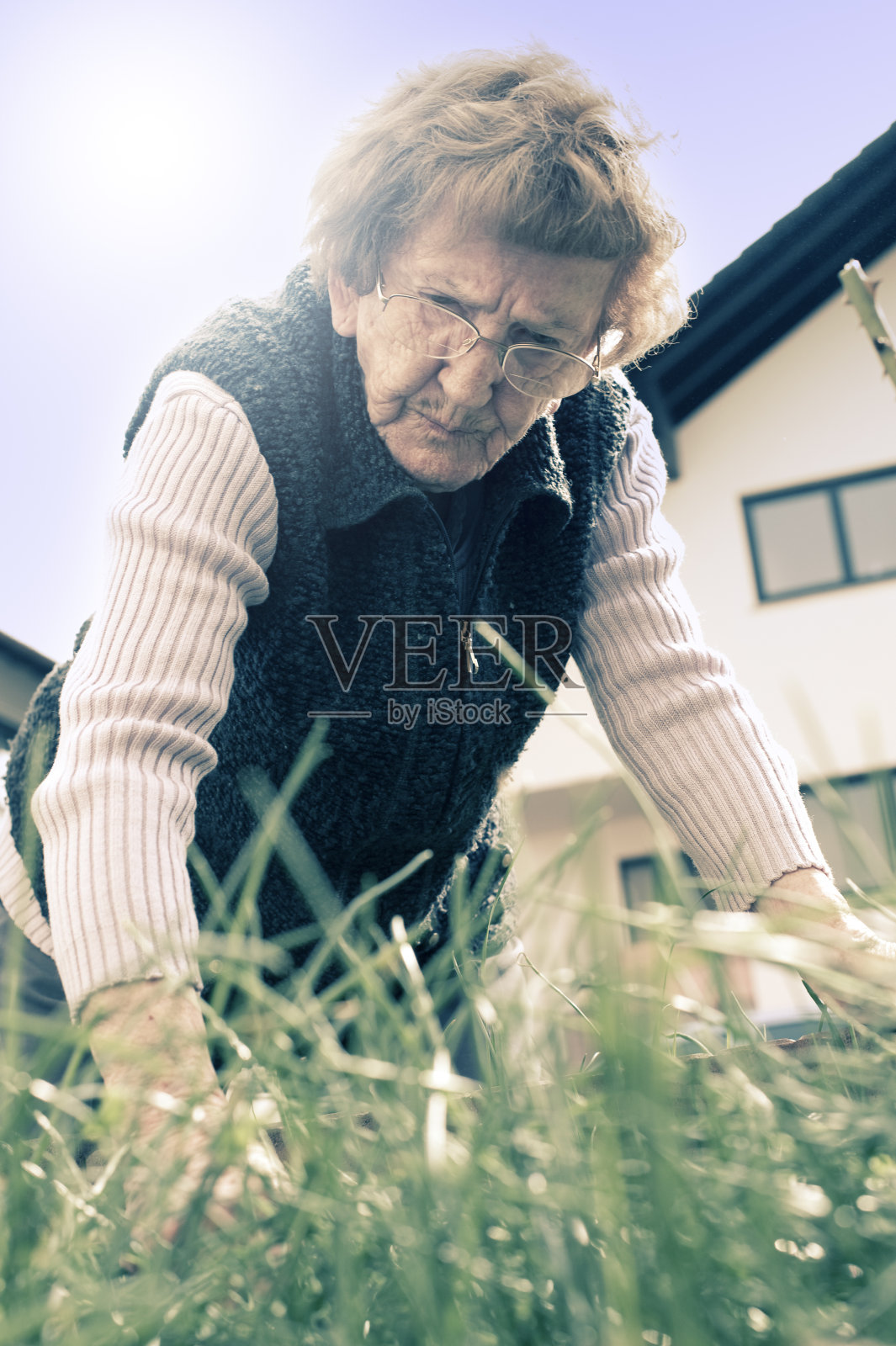 女性高级园艺照片摄影图片