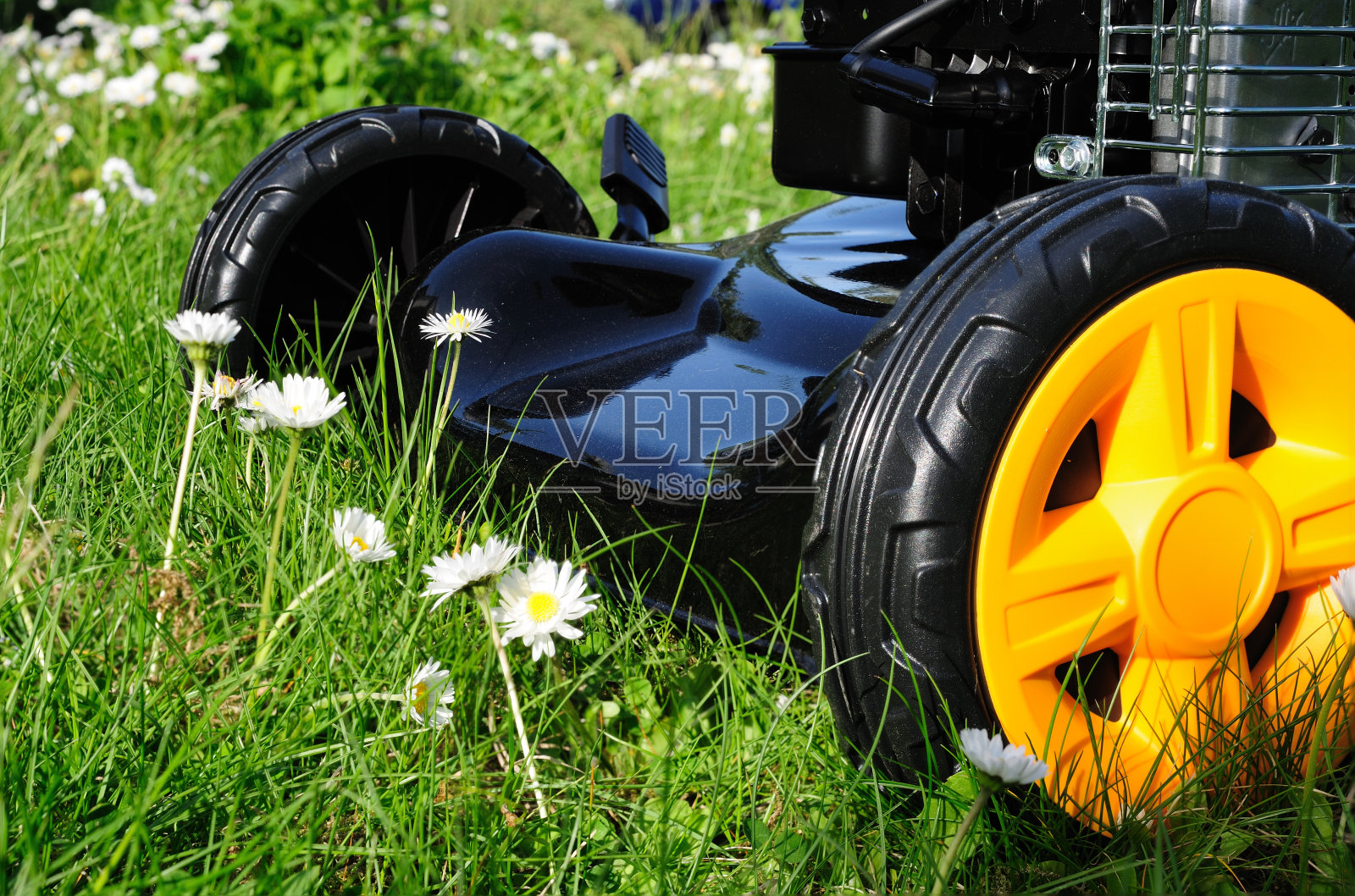 移动草坪照片摄影图片