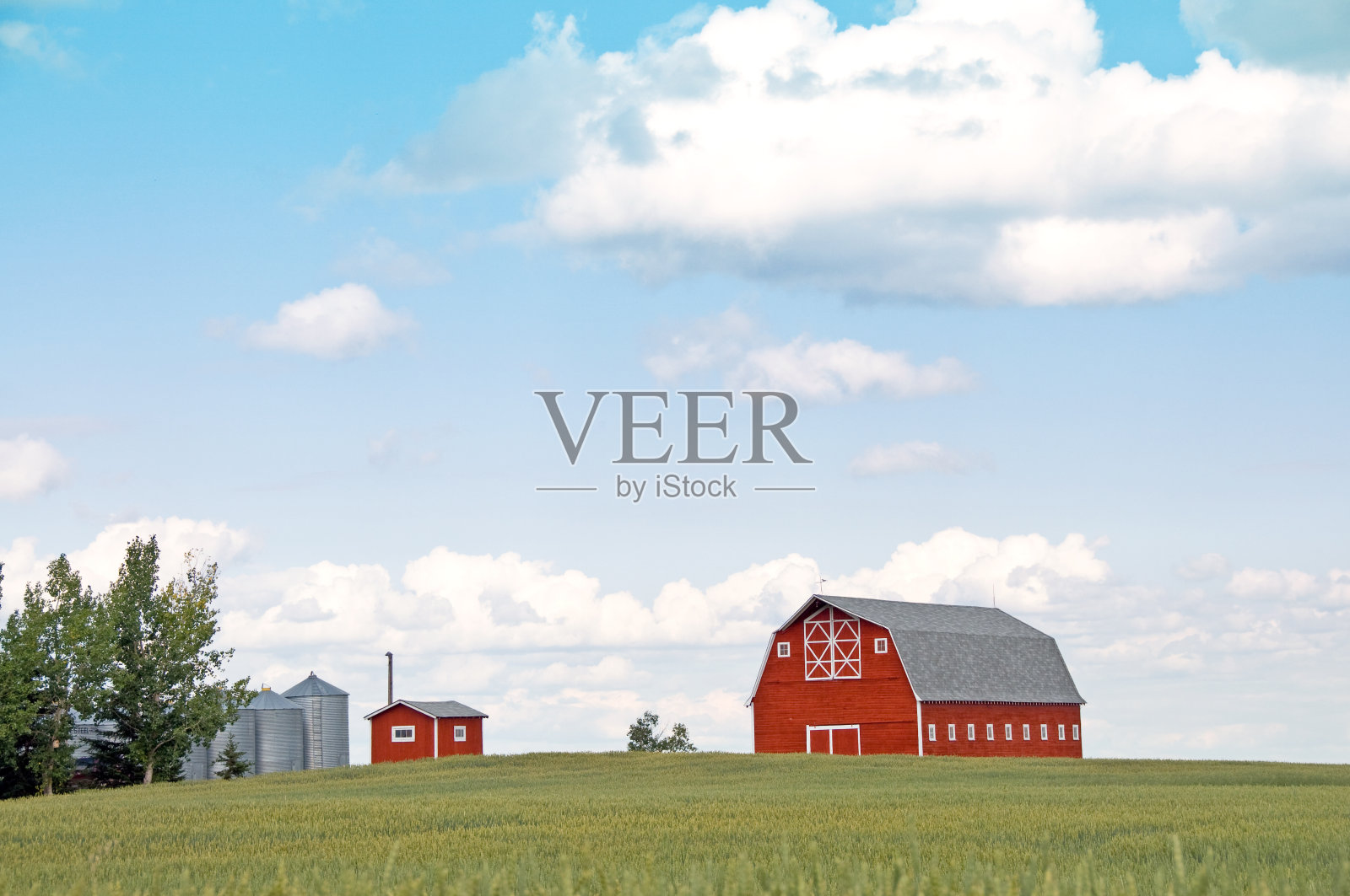 红谷仓，粮仓，夏小麦照片摄影图片