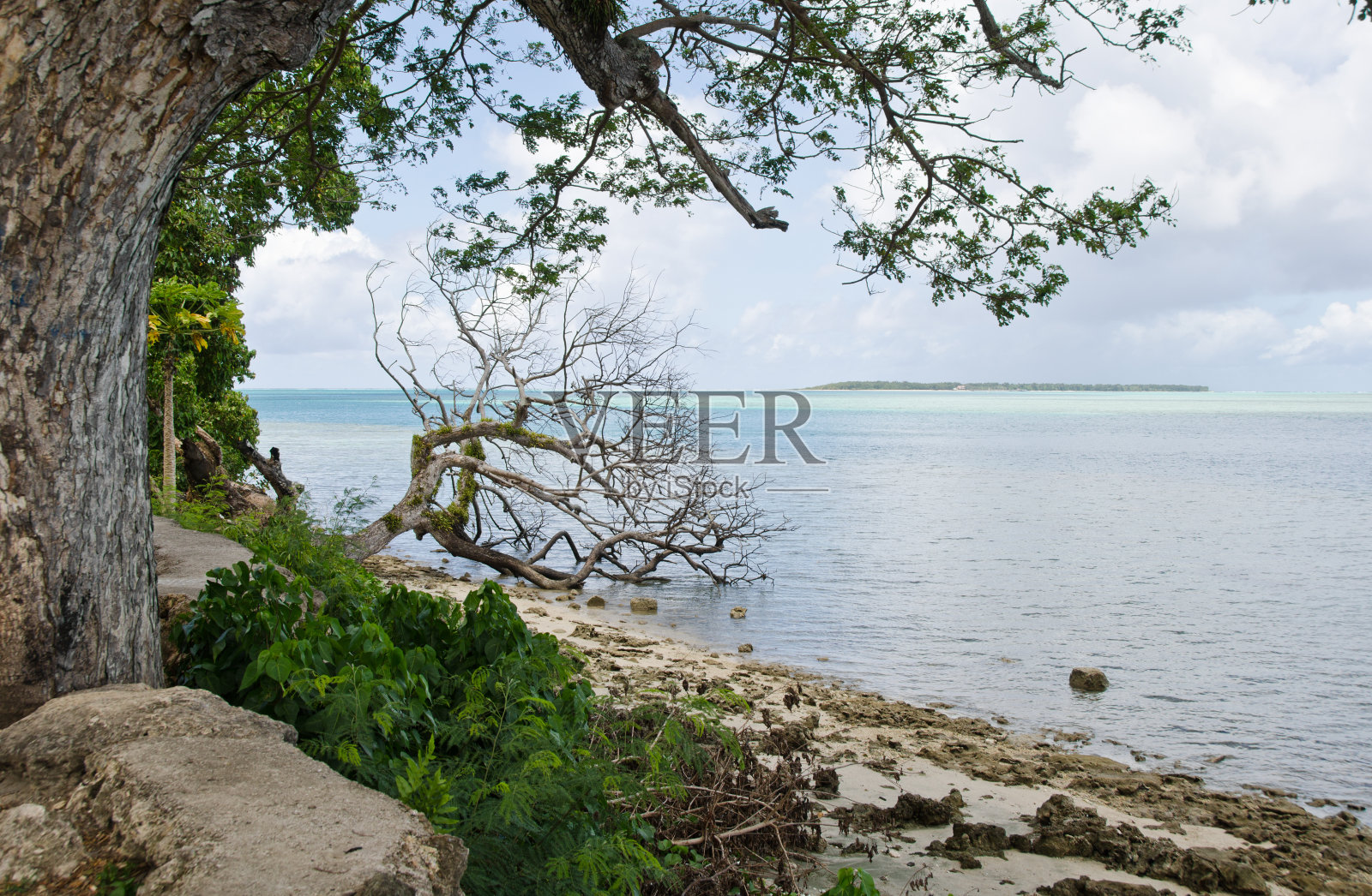 岛的观点照片摄影图片