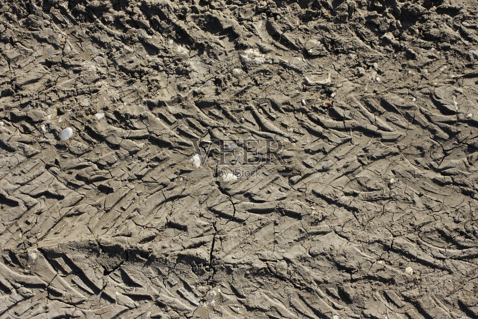 水平轮胎印在干燥的棕色泥土上照片摄影图片