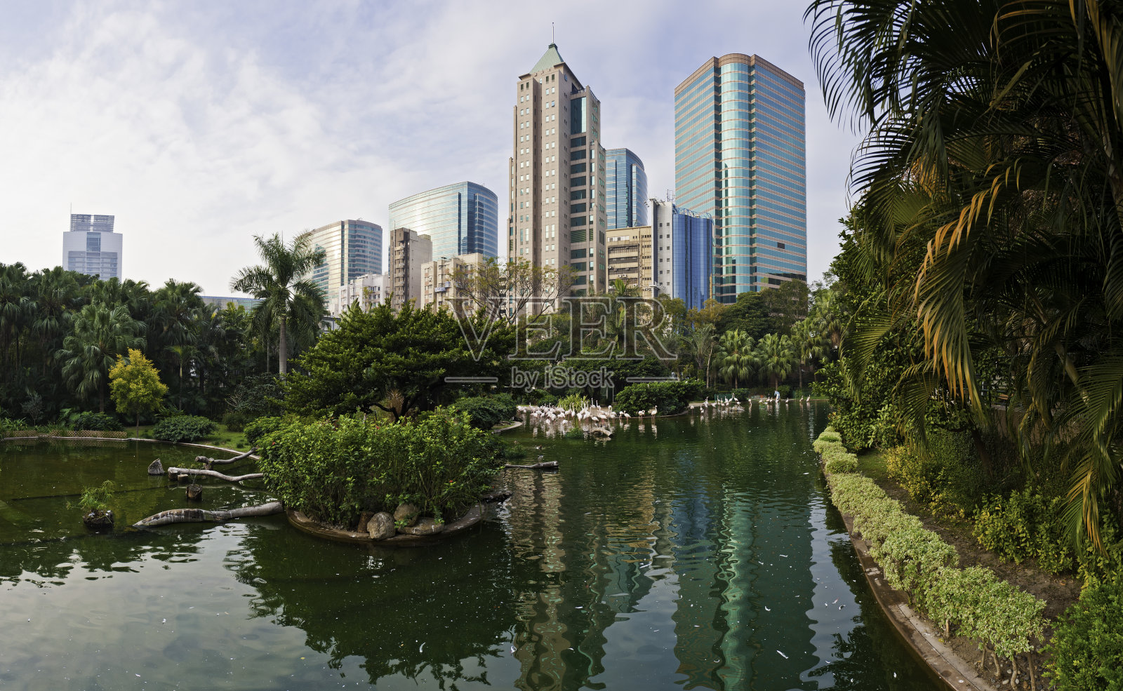 香港九龙公园火烈鸟湖广东道塔中国照片摄影图片