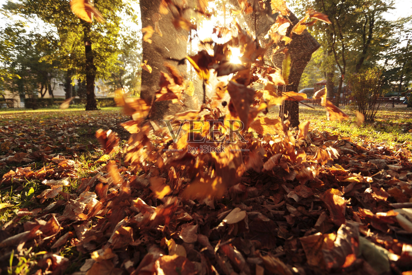 秋天的火照片摄影图片