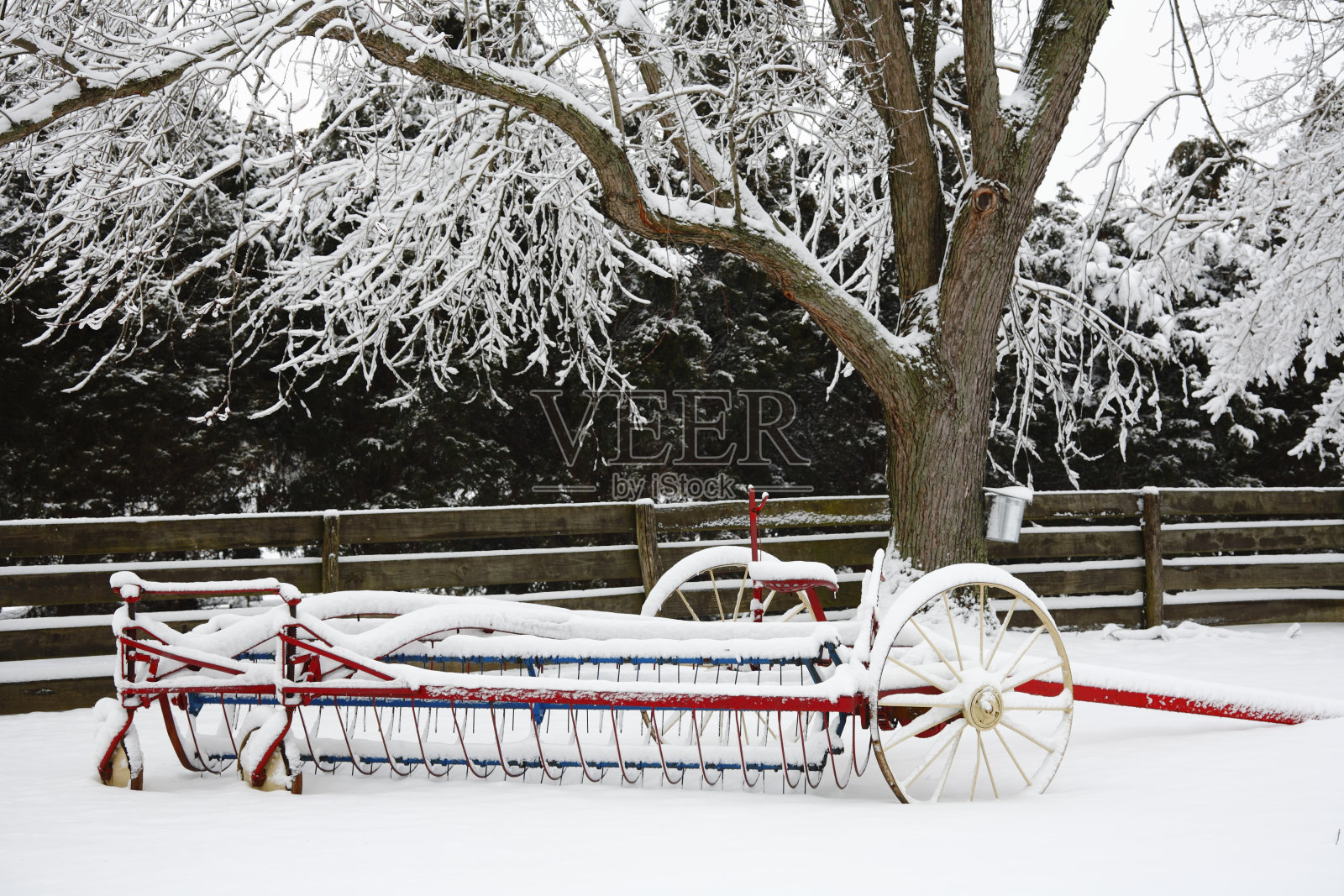 有Rake照片摄影图片