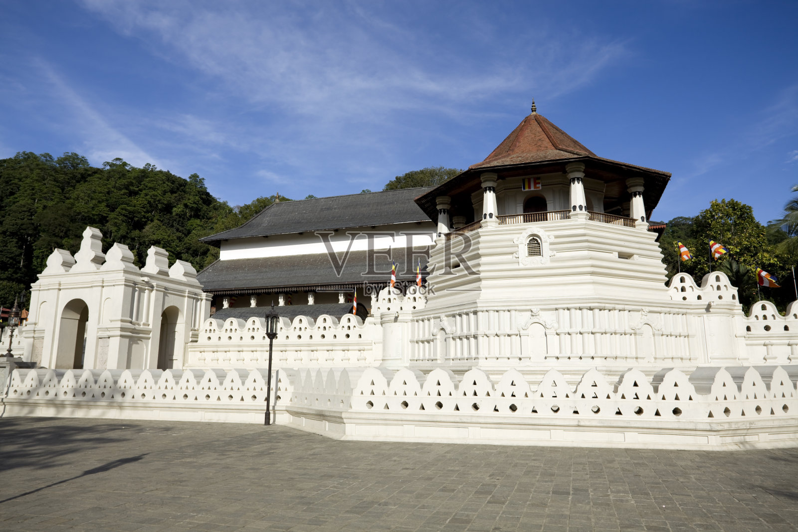 康提斯里兰卡达拉达马利加瓦照片摄影图片