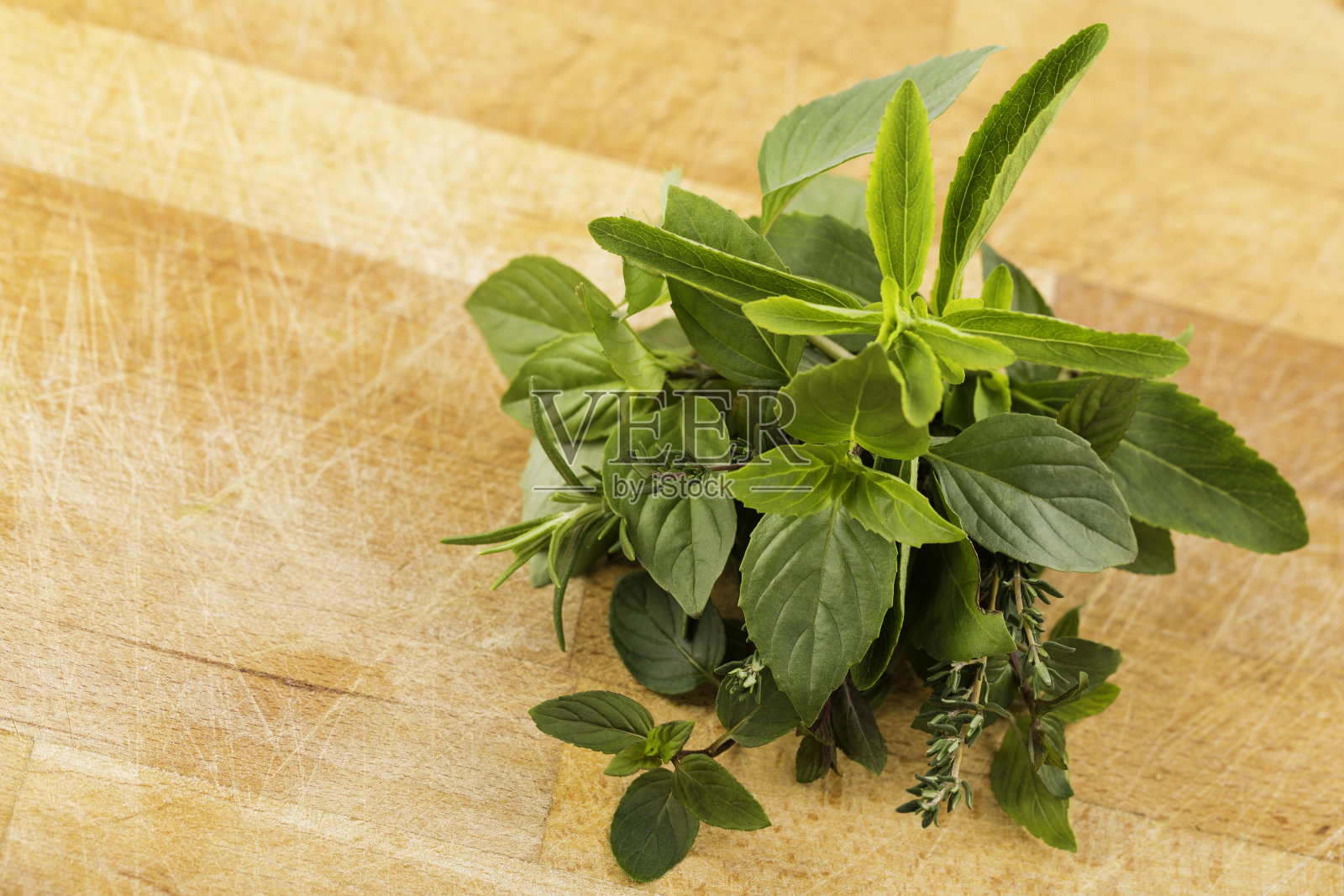 草本植物照片摄影图片