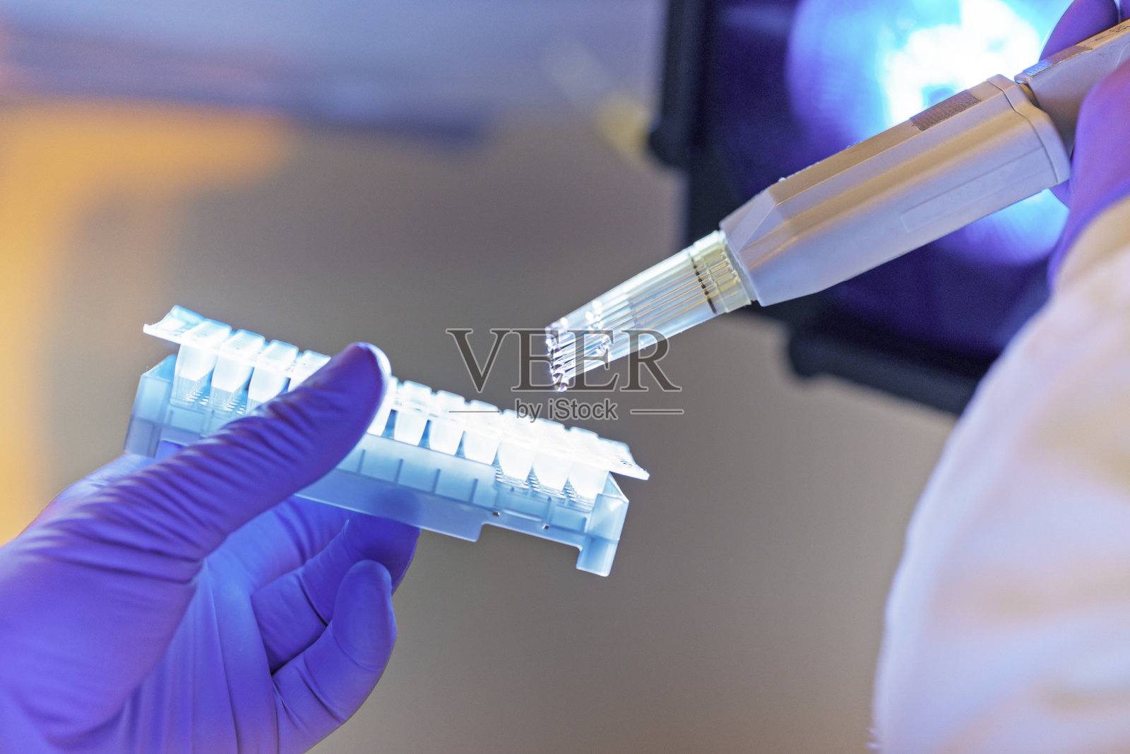 在实验室工作的科学家照片摄影图片