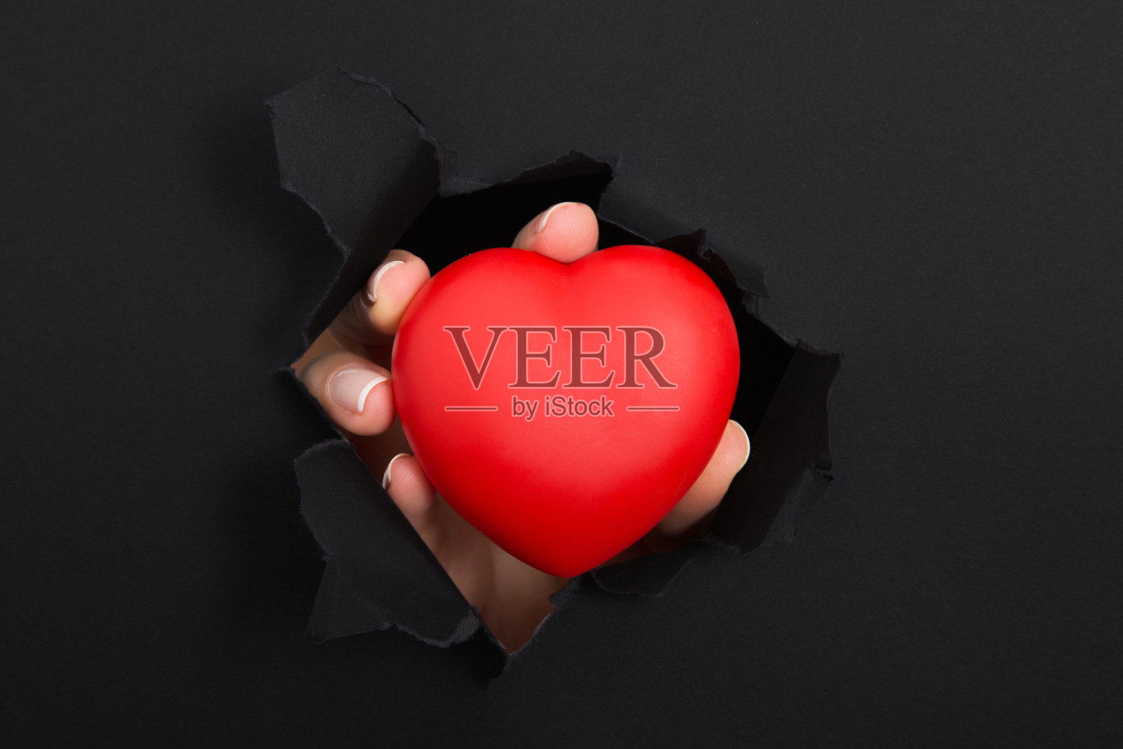 心在手中照片摄影图片