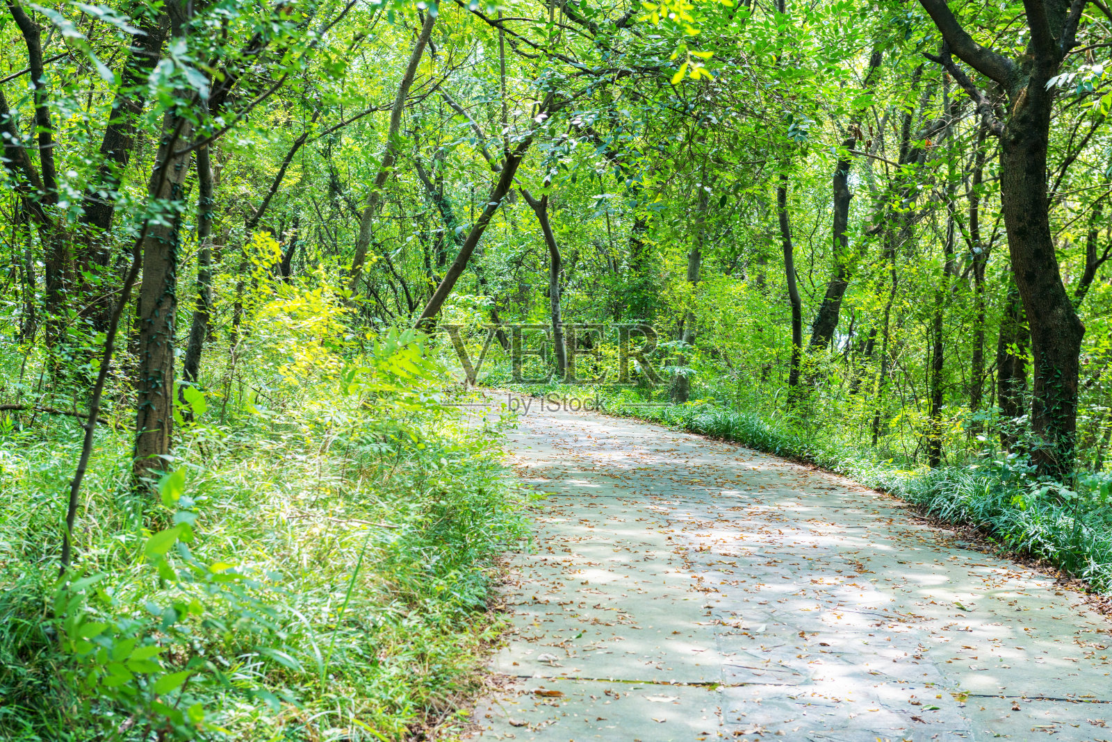 路照片摄影图片