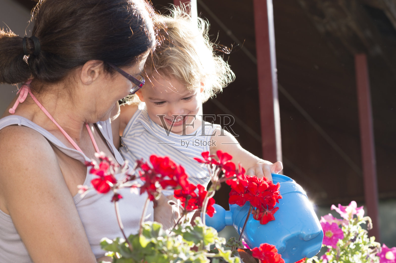 我们的植物浇水照片摄影图片
