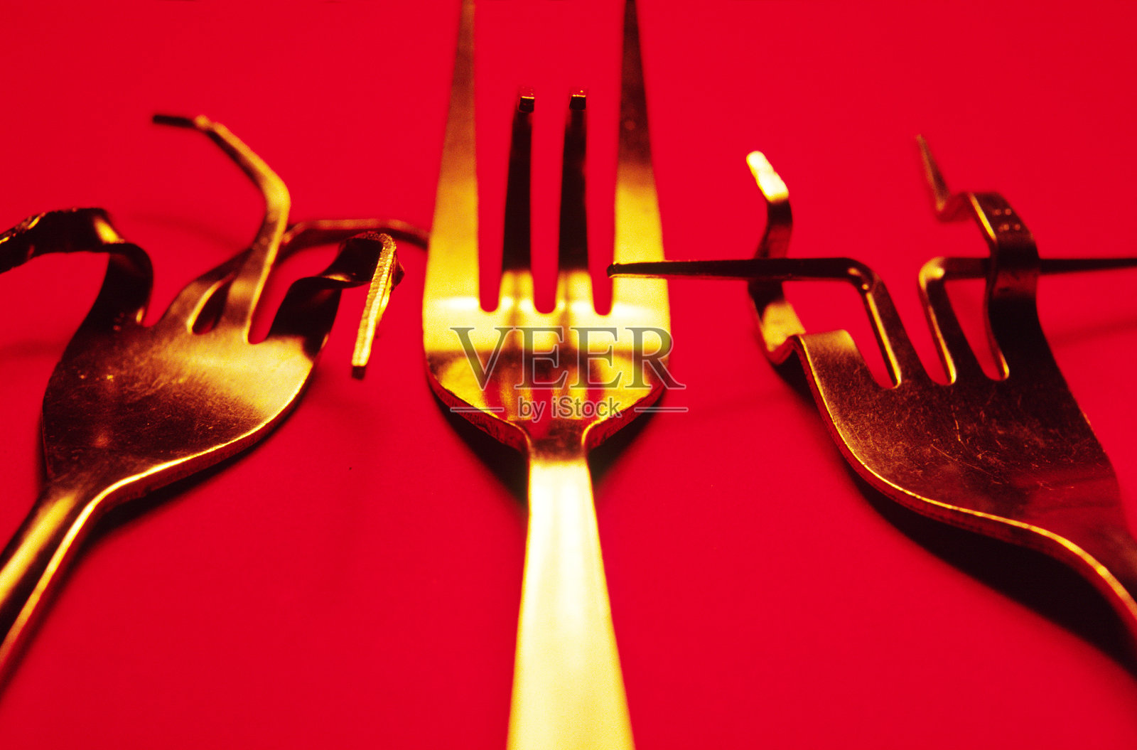 你照片摄影图片