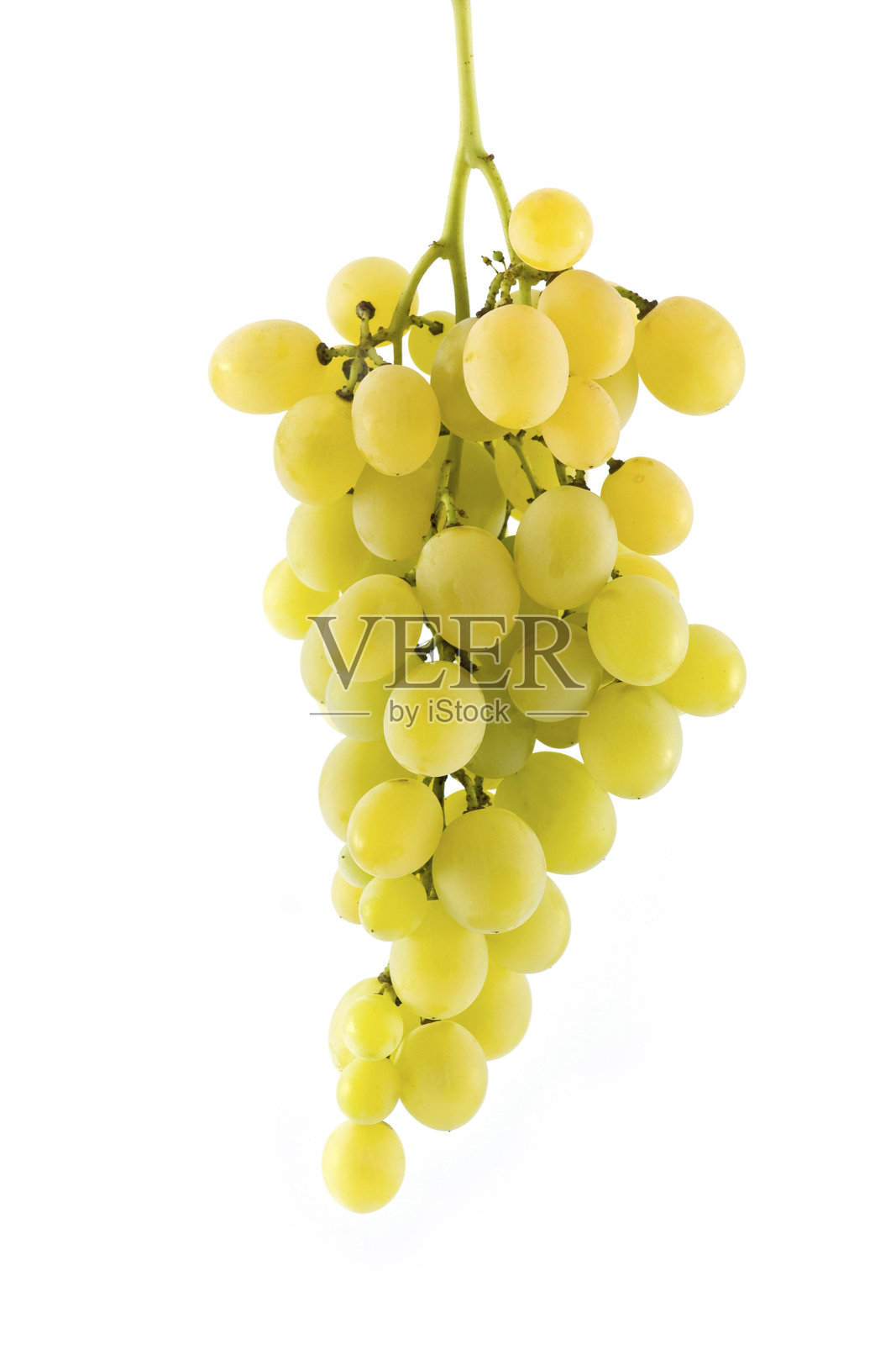 葡萄孤立在白色的背景上照片摄影图片