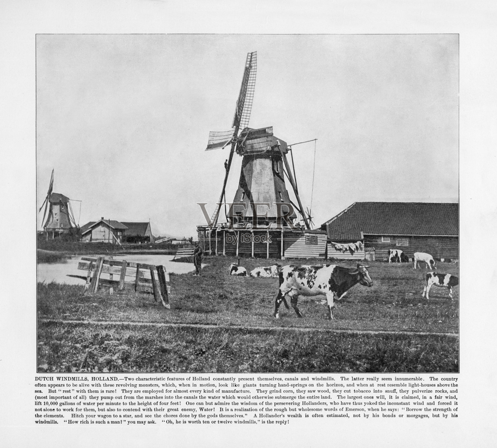 1893年荷兰风车老照片照片摄影图片