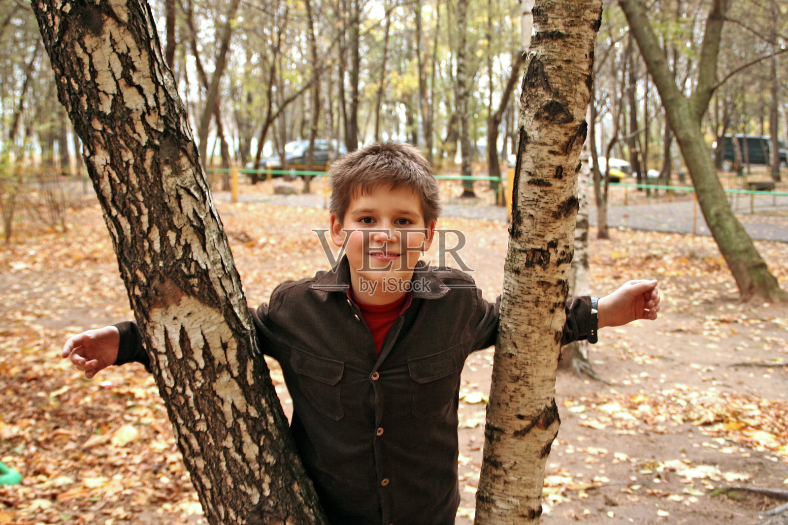 微笑的男孩在两棵桦树之间照片摄影图片