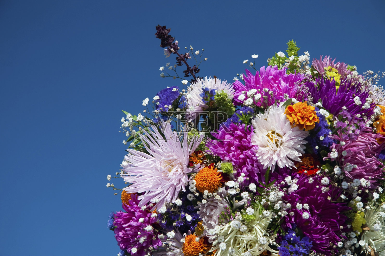 束野花照片摄影图片