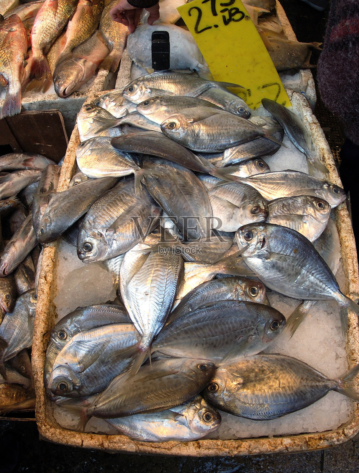 鱼市场，唐人街，纽约照片摄影图片