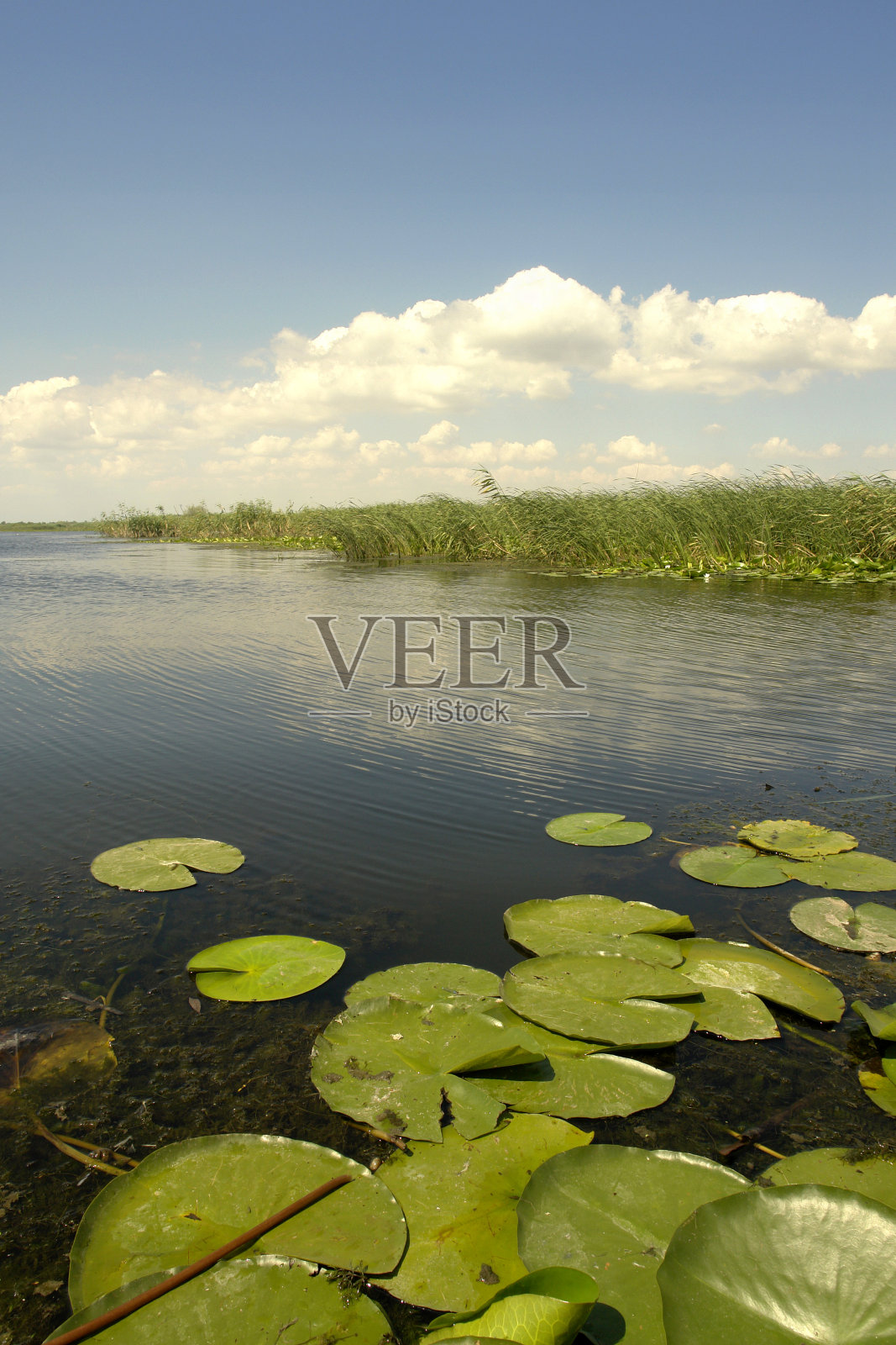从多瑙德照片摄影图片