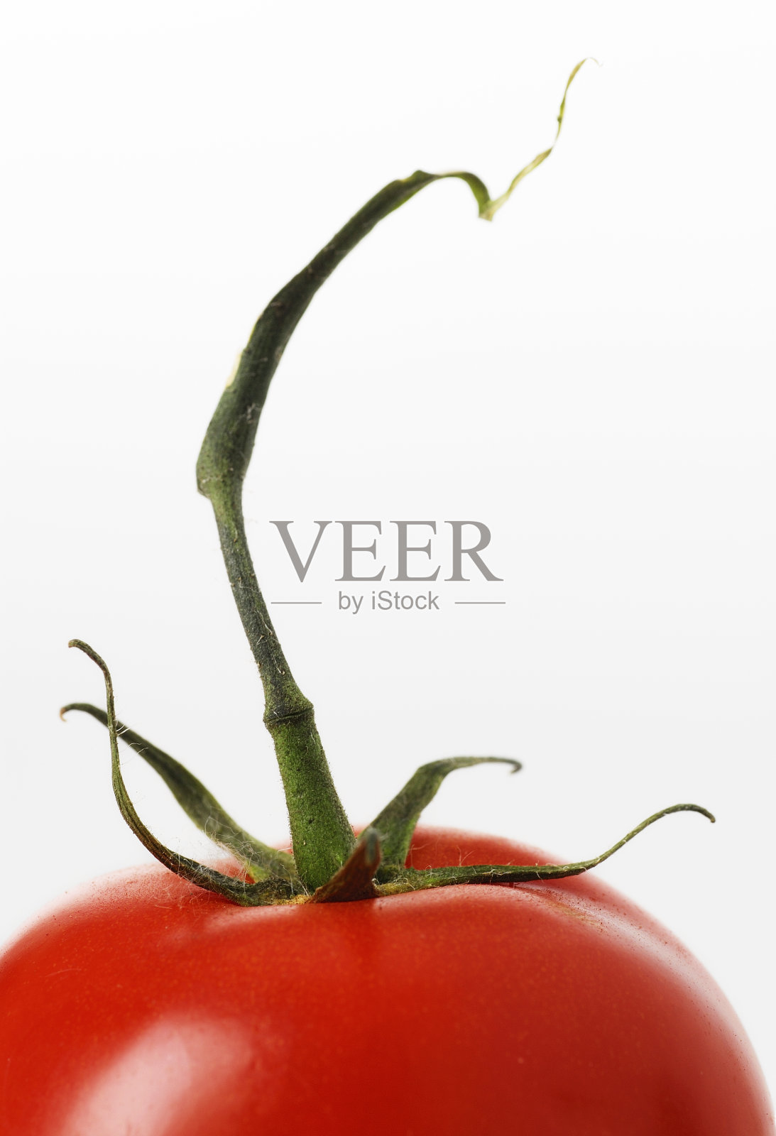 番茄的细节照片摄影图片