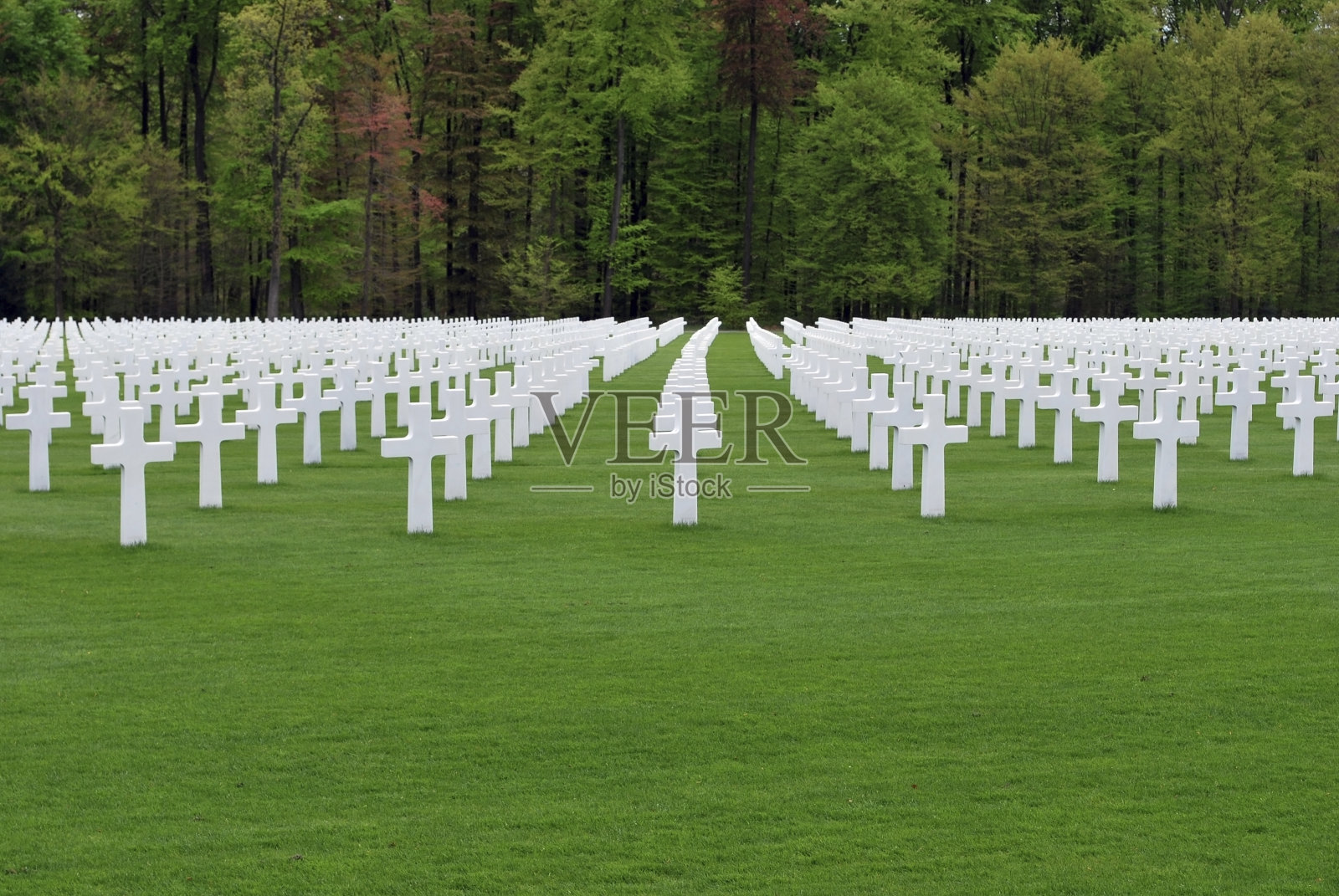 美国军事公墓照片摄影图片