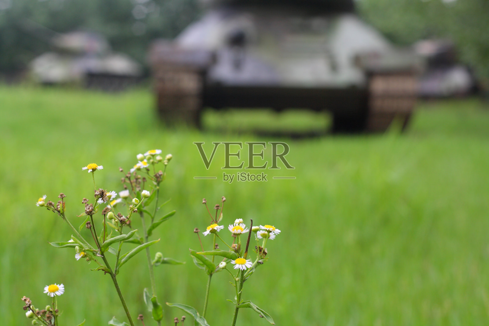 花俄坦克照片摄影图片