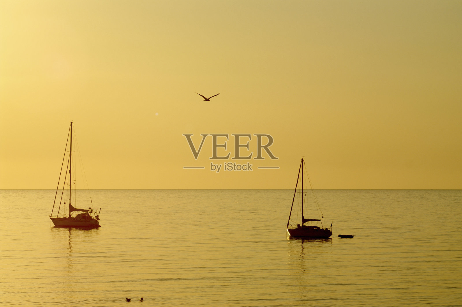 船在黎明照片摄影图片