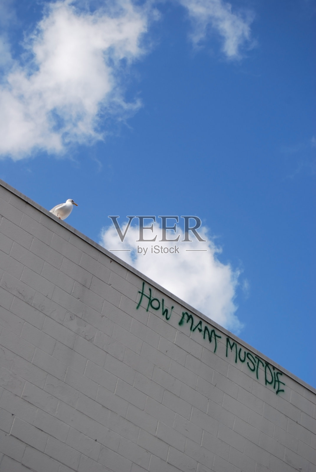 要死了多少人?建设反战口号照片摄影图片