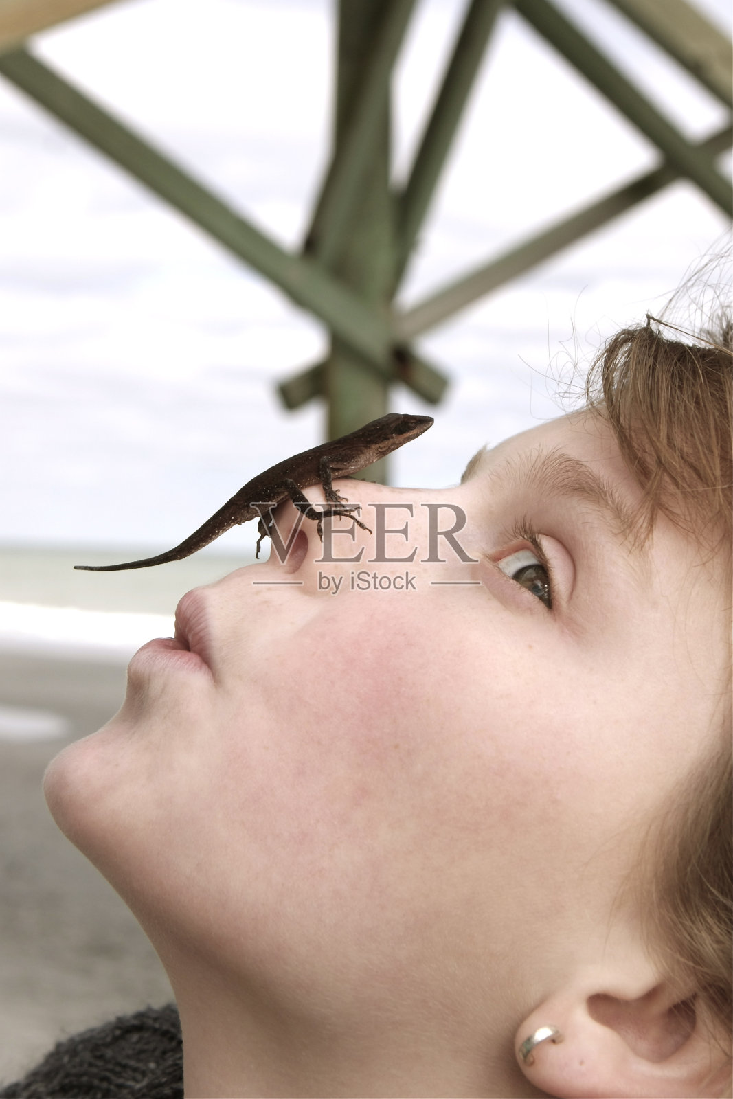 女孩和蜥蜴照片摄影图片