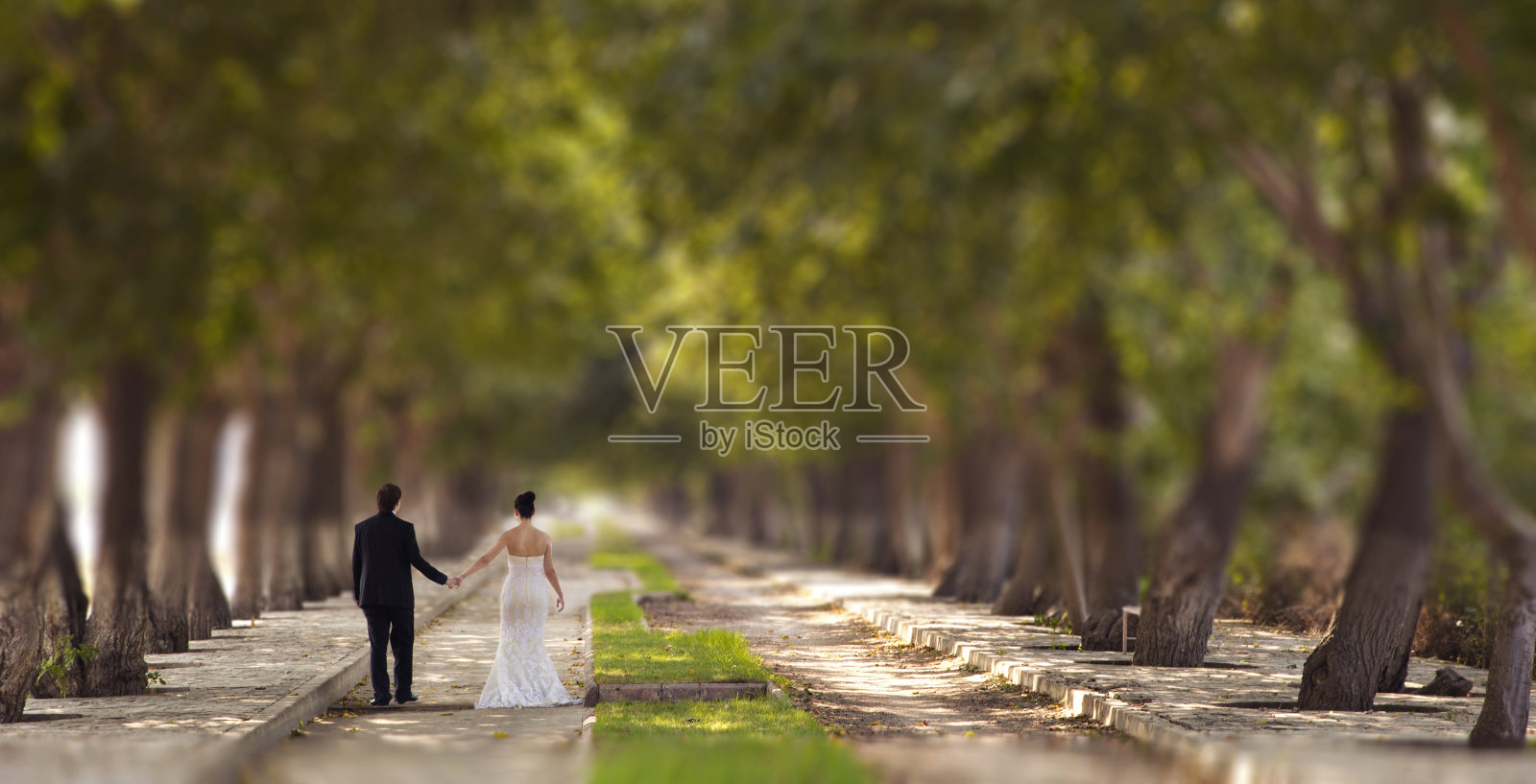 新娘和新郎微型效果照片摄影图片