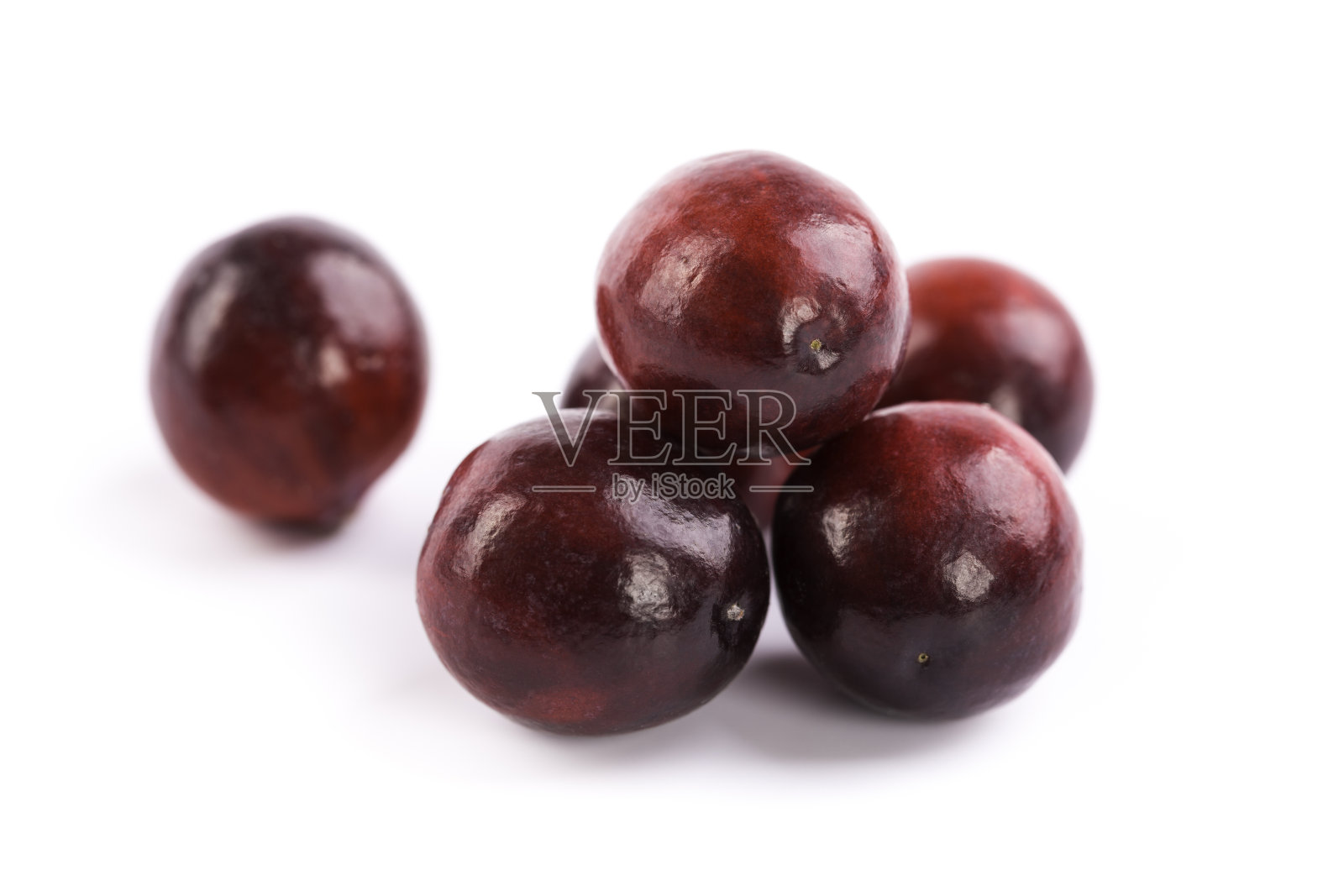 新鲜的红蔓越莓照片摄影图片