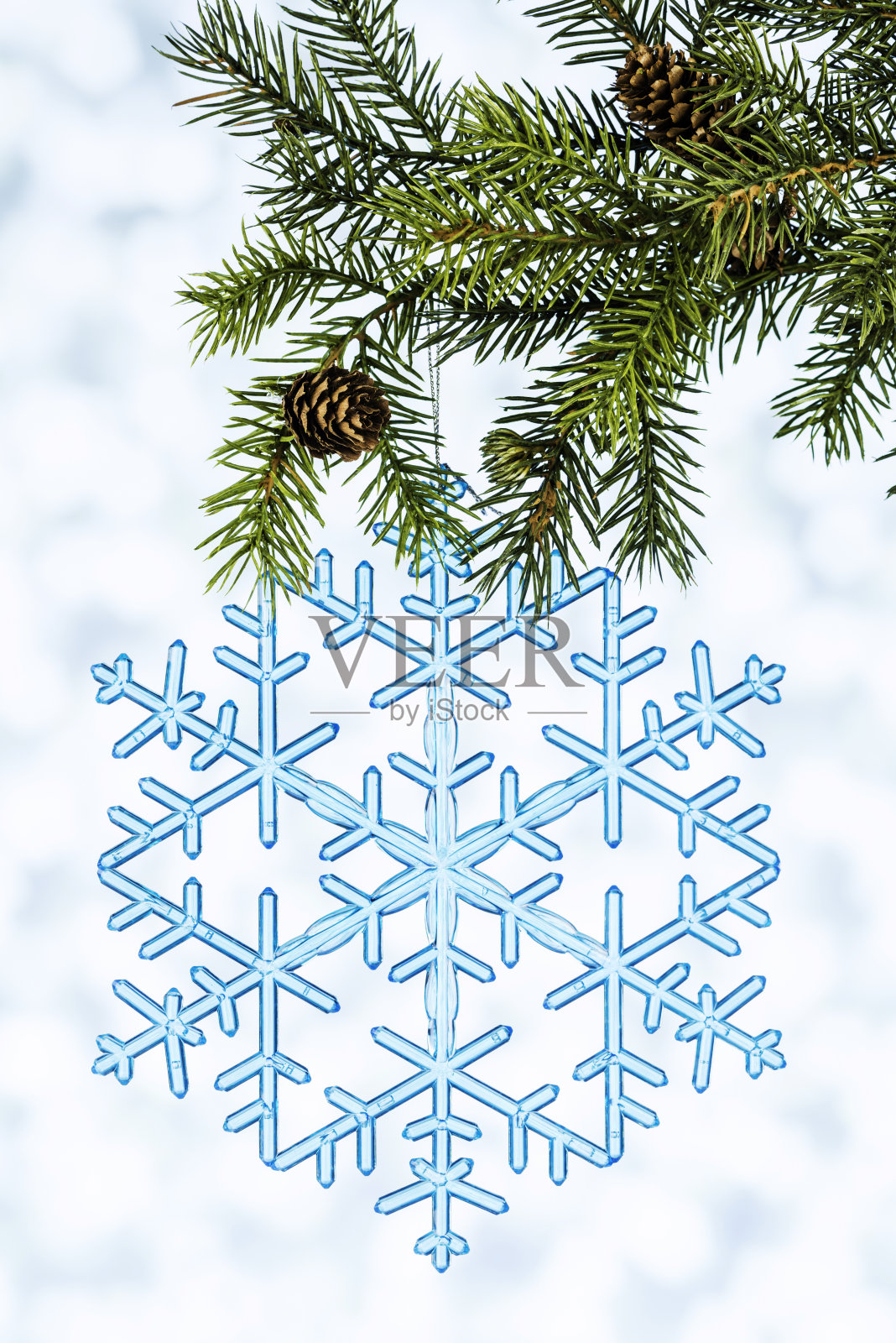 松树和雪花照片摄影图片