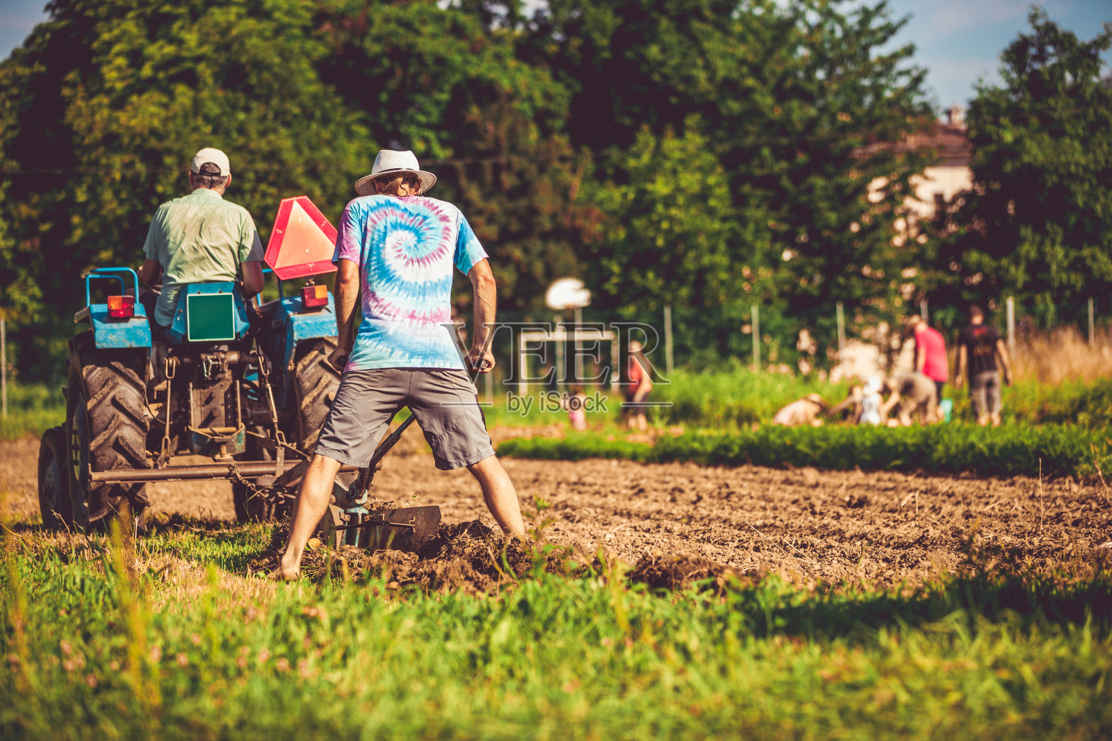 一切都准备好了收获土豆照片摄影图片